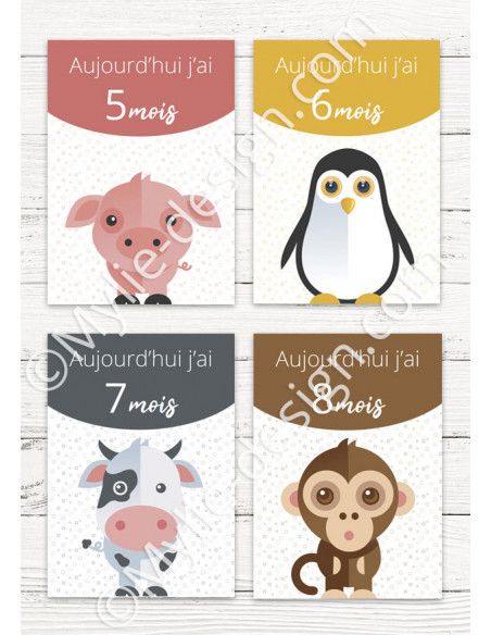 Cartes Etape Bebe Animaux